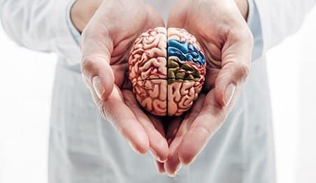 Imagen complementaria relacionada con acompañamiento psicológico y bienestar emocional