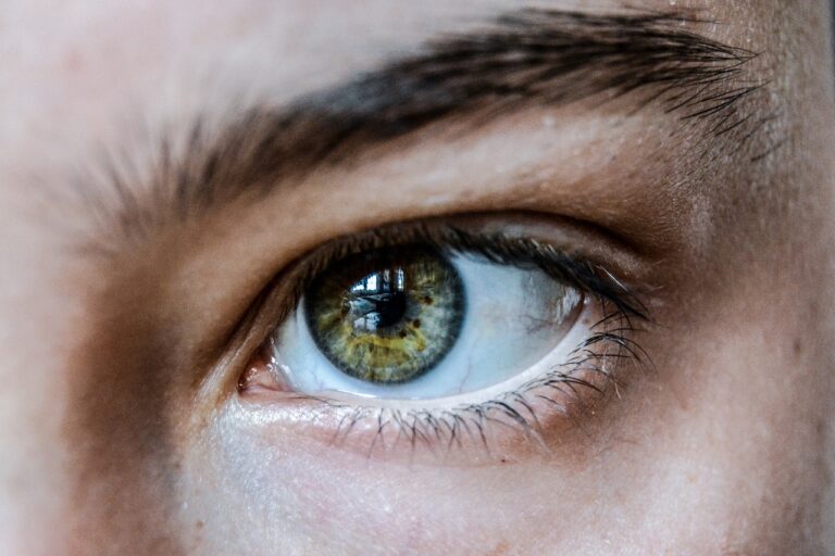 eye, green, eyelashes-6186141.jpg